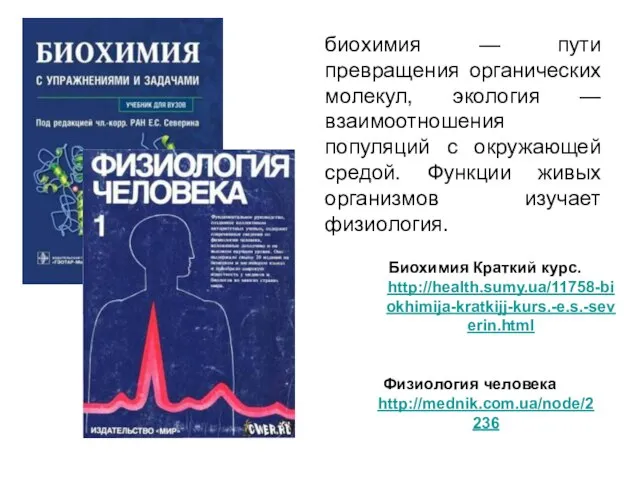 биохимия — пути превращения органических молекул, экология —взаимоотношения популяций с окружающей средой.