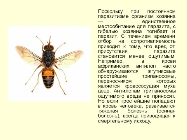 Поскольку при постоянном паразитизме организм хозяина — единственное местообитание для паразита, с