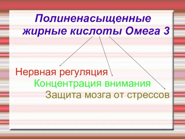 Полиненасыщенные жирные кислоты Омега 3 Нервная регуляция Концентрация внимания Защита мозга от стрессов