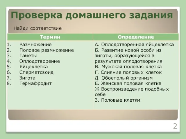 Проверка домашнего задания Найди соответствие