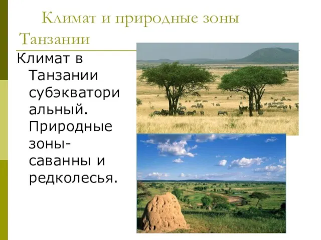 Климат и природные зоны Танзании Климат в Танзании субэкваториальный.Природные зоны-саванны и редколесья.