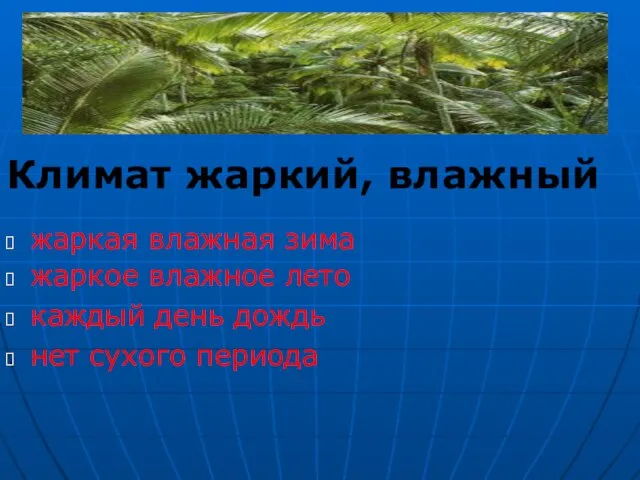 Климат жаркий, влажный жаркая влажная зима жаркое влажное лето каждый день дождь нет сухого периода