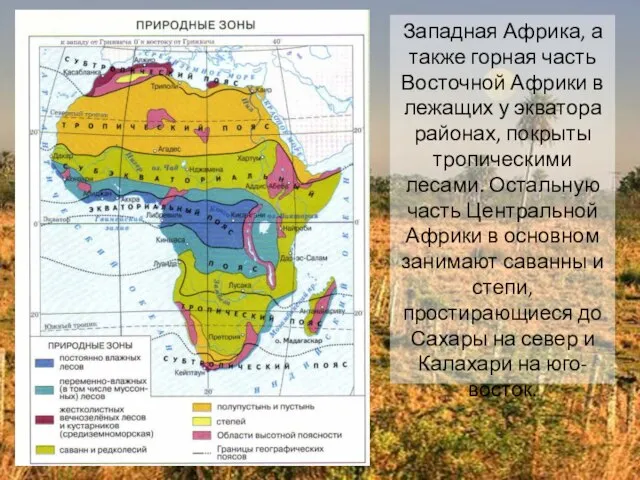 Западная Африка, а также горная часть Восточной Африки в лежащих у экватора