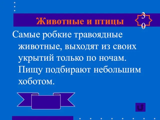 Животные и птицы Самые робкие травоядные животные, выходят из своих укрытий только