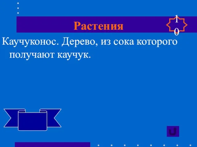 Растения Каучуконос. Дерево, из сока которого получают каучук. Гевея 10