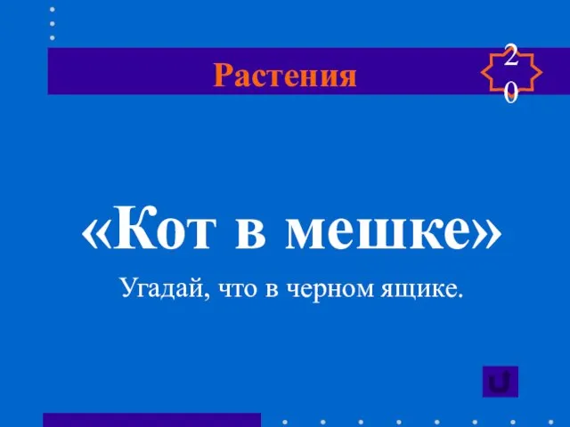 Растения «Кот в мешке» Угадай, что в черном ящике. 20