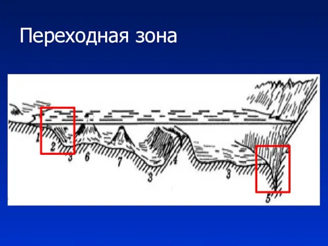 Переходная зона