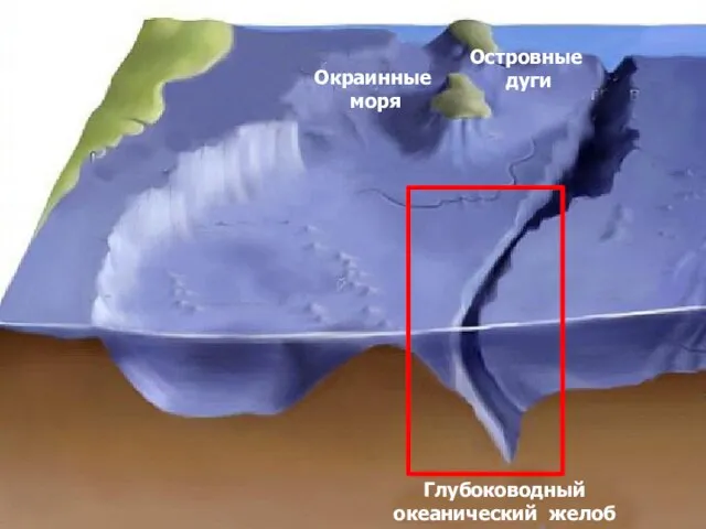 Переходная зона Глубоководный океанический желоб Островные дуги Окраинные моря