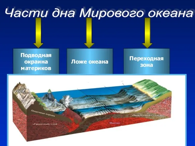 Подводная окраина материков Ложе океана Переходная зона Части дна Мирового океана