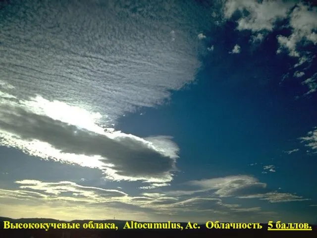 Высококучевые облака, Altocumulus, Ac. Облачность 5 баллов.