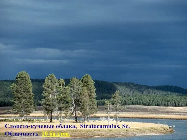 Слоисто-кучевые облака, Stratocumulus, Sc. Облачность 10 баллов.