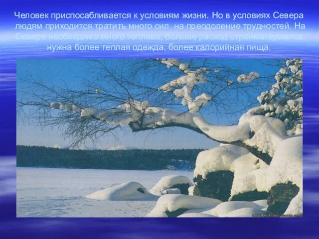 Человек приспосабливается к условиям жизни. Но в условиях Севера людям приходится тратить