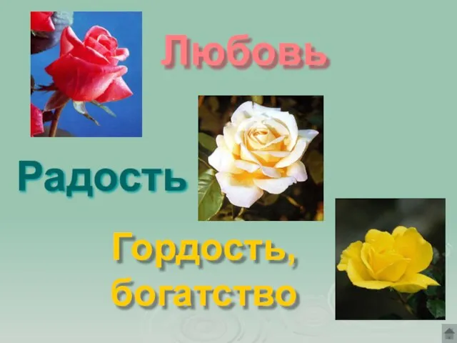 Любовь Радость Гордость, богатство