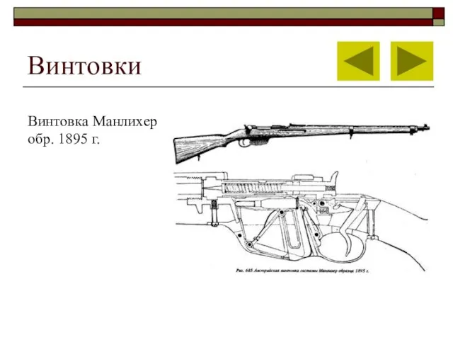 Винтовки Винтовка Манлихер обр. 1895 г.