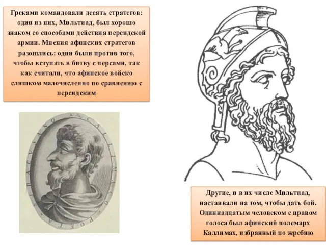 Греками командовали десять стратегов: один из них, Мильтиад, был хорошо знаком со