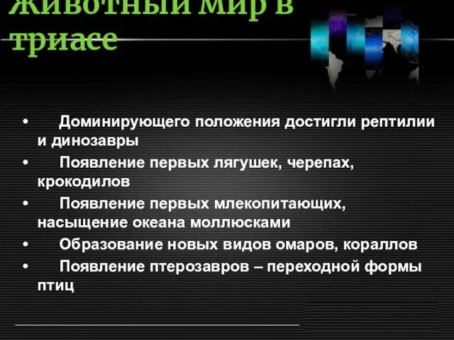 Животный мир в триасе Доминирующего положения достигли рептилии и динозавры Появление первых