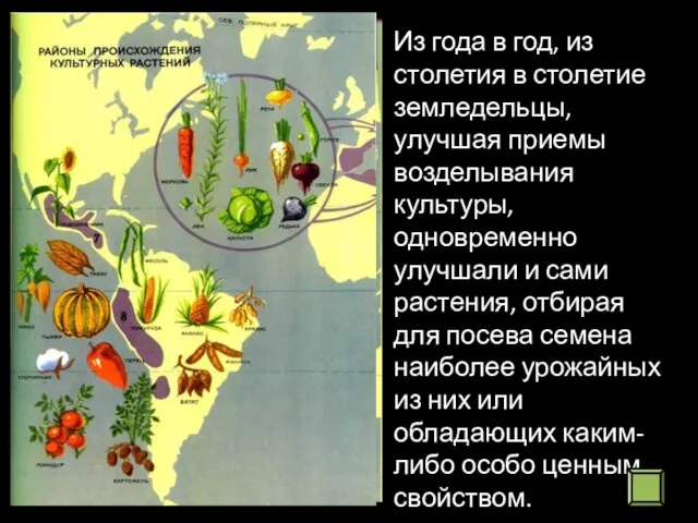 Из года в год, из столетия в столетие земледельцы, улучшая приемы возделывания