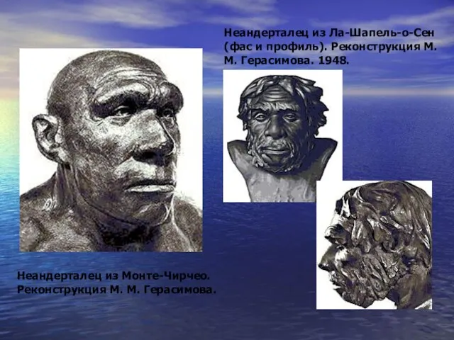 Неандерталец из Монте-Чирчео. Реконструкция М. М. Герасимова. Неандерталец из Ла-Шапель-о-Сен (фас и