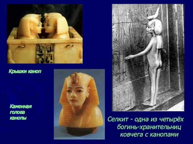 Селкит - одна из четырёх богинь-хранительниц ковчега с канопами Крышки каноп Каменная голова канопы