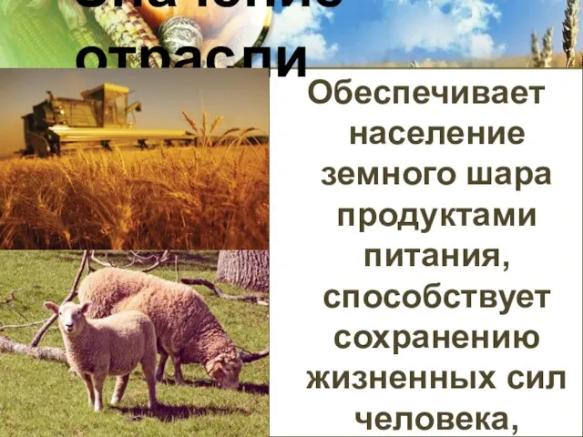 Обеспечивает население земного шара продуктами питания, способствует сохранению жизненных сил человека, который