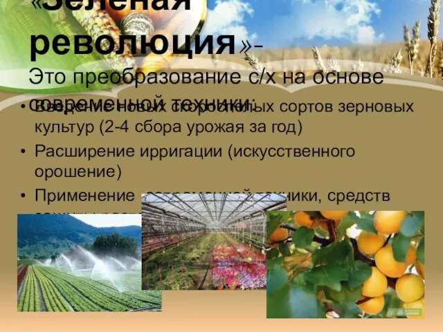 «Зеленая революция»- Это преобразование с/х на основе современной техники: Введение новых скороспелых