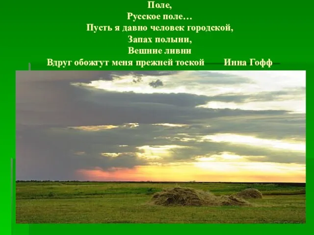 Поле, Русское поле… Пусть я давно человек городской, Запах полыни, Вешние ливни