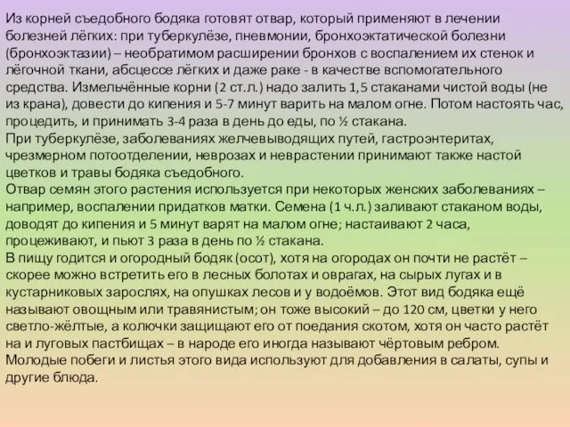 Из корней съедобного бодяка готовят отвар, который применяют в лечении болезней лёгких: