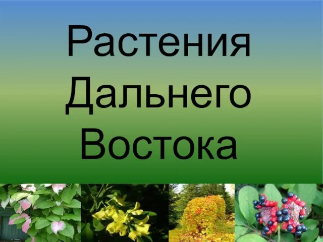 Растения Дальнего Востока