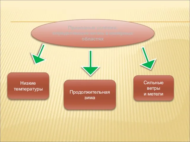 Природные условия, определяющие жизнь в полярных областях Низкие температуры Продолжительная зима Сильные ветры и метели