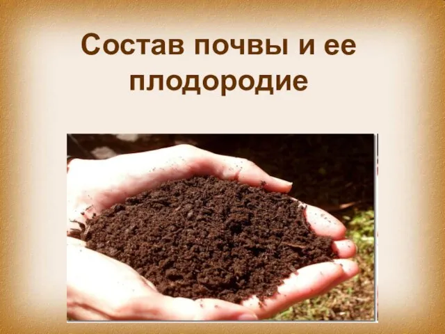Презентация на тему Состав почвы и ее плодородие