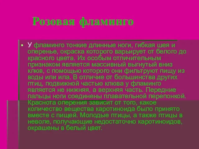 Розовая фламинго У фламинго тонкие длинные ноги, гибкая шея и оперенье, окраска