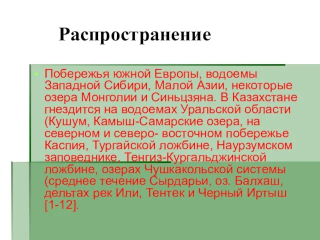 Распространение Побережья южной Европы, водоемы Западной Сибири, Малой Азии, некоторые озера Монголии