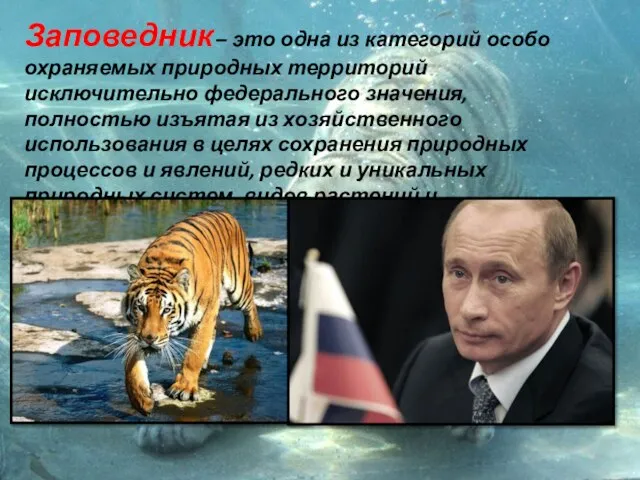 Заповедник – это одна из категорий особо охраняемых природных территорий исключительно федерального