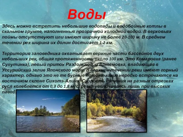 Здесь можно встретить небольшие водопады и водобойные котлы в скальном грунте, наполненные