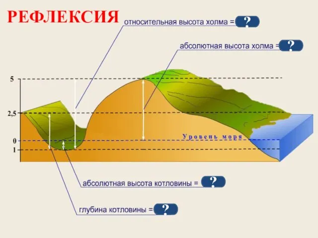 ? ? ? ? РЕФЛЕКСИЯ