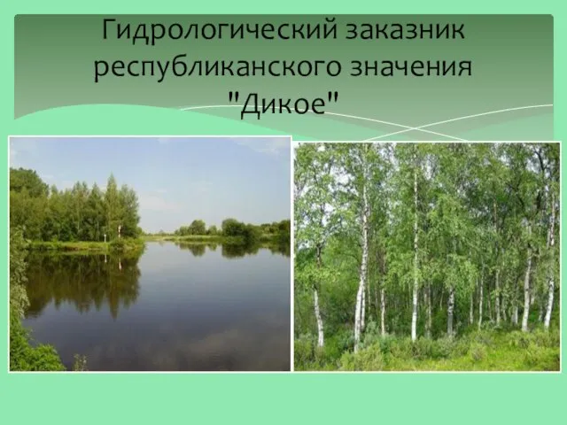 Гидрологический заказник республиканского значения "Дикое"