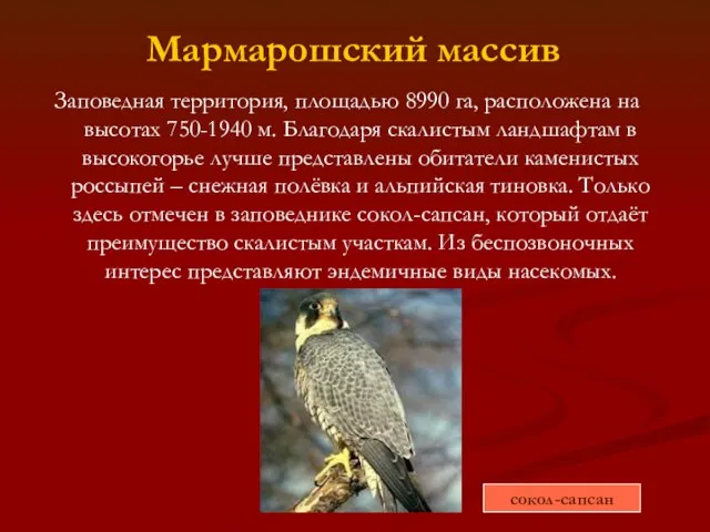 Мармарошский массив Заповедная территория, площадью 8990 га, расположена на высотах 750-1940 м.