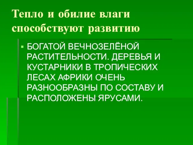 Тепло и обилие влаги способствуют развитию БОГАТОЙ ВЕЧНОЗЕЛЁНОЙ РАСТИТЕЛЬНОСТИ. ДЕРЕВЬЯ И КУСТАРНИКИ