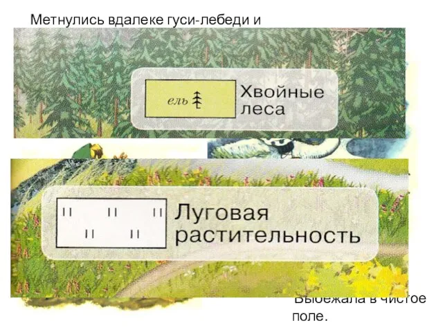 Метнулись вдалеке гуси-лебеди и пропали за темным лесом. Выбежала в чистое поле.