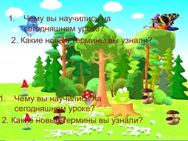 Чему вы научились на сегодняшнем уроке? 2. Какие новые термины вы узнали?