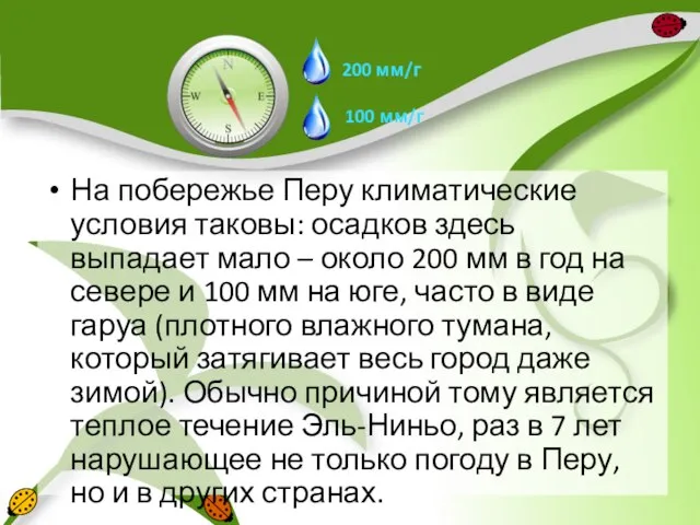 На побережье Перу климатические условия таковы: осадков здесь выпадает мало – около