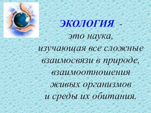 ЭКОЛОГИЯ - это наука, изучающая все сложные взаимосвязи в природе, взаимоотношения живых