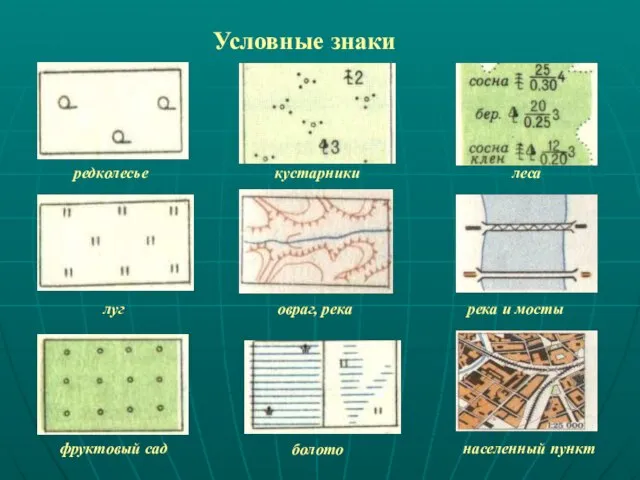 Условные знаки редколесье луг фруктовый сад кустарники овраг, река болото леса река и мосты населенный пункт