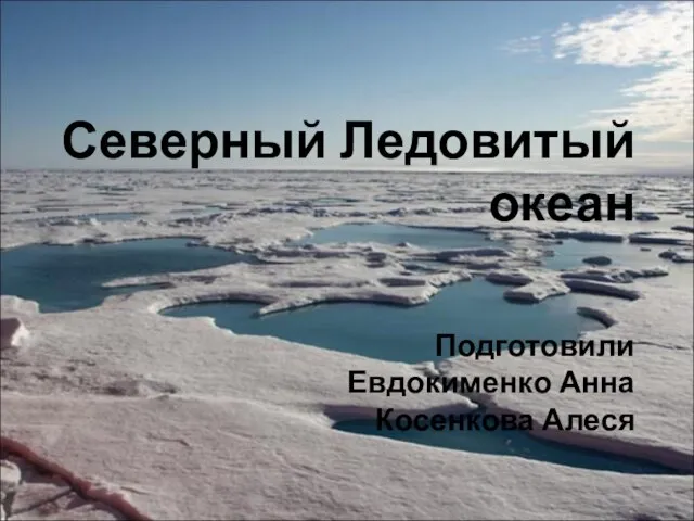 Презентация на тему Северный Ледовитый океан