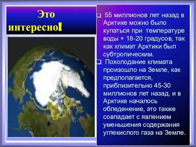 55 миллионов лет назад в Арктике можно было купаться при температуре воды