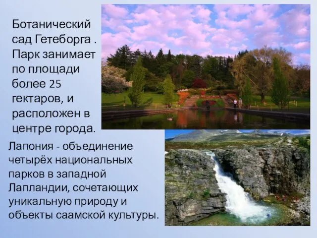 Ботанический сад Гетеборга . Парк занимает по площади более 25 гектаров, и