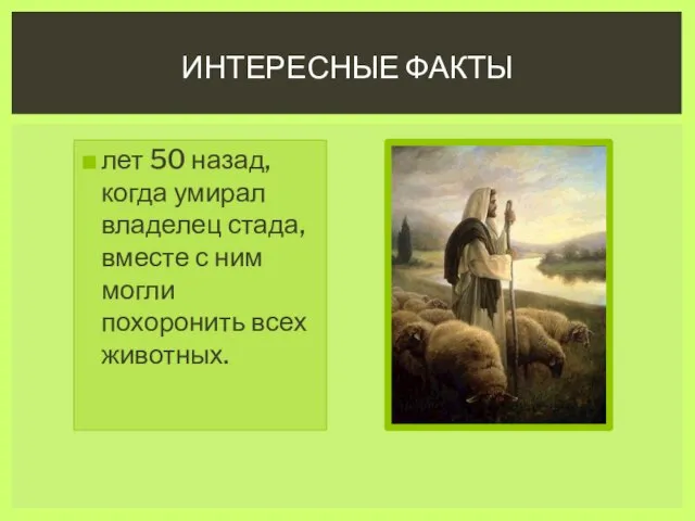 лет 50 назад, когда умирал владелец стада, вместе с ним могли похоронить всех животных. Интересные факты