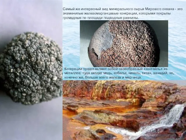 Самый же интересный вид минерального сырья Мирового океана - это знаменитые железомарганцевые