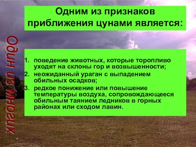 Одним из признаков приближения цунами является: поведение животных, которые торопливо уходят на