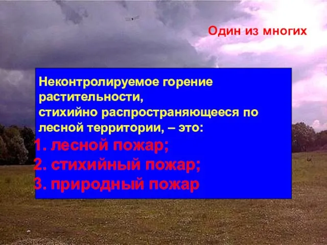 Один из многих Неконтролируемое горение растительности, стихийно распространяющееся по лесной территории, –